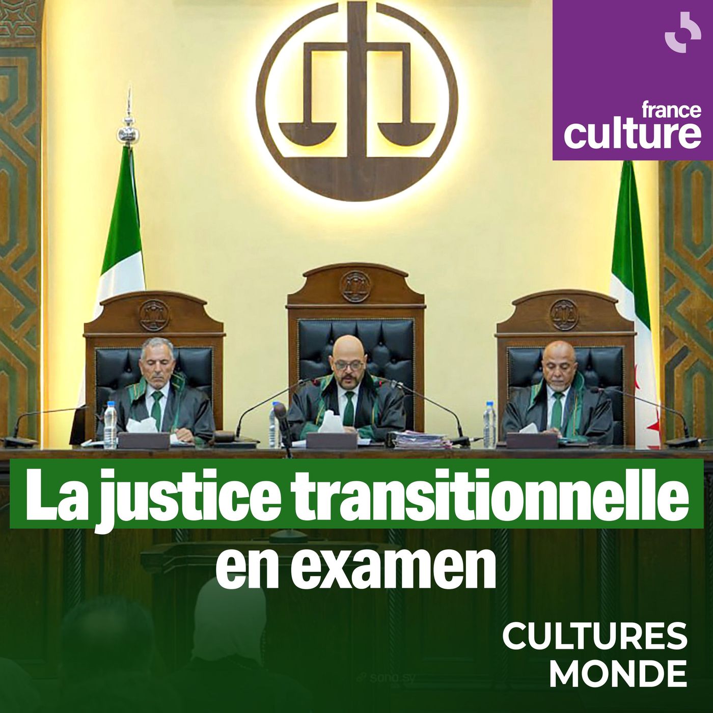 La justice transitionnelle en examen : En Syrie, juger ou venger ? cover art