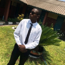 author avatar