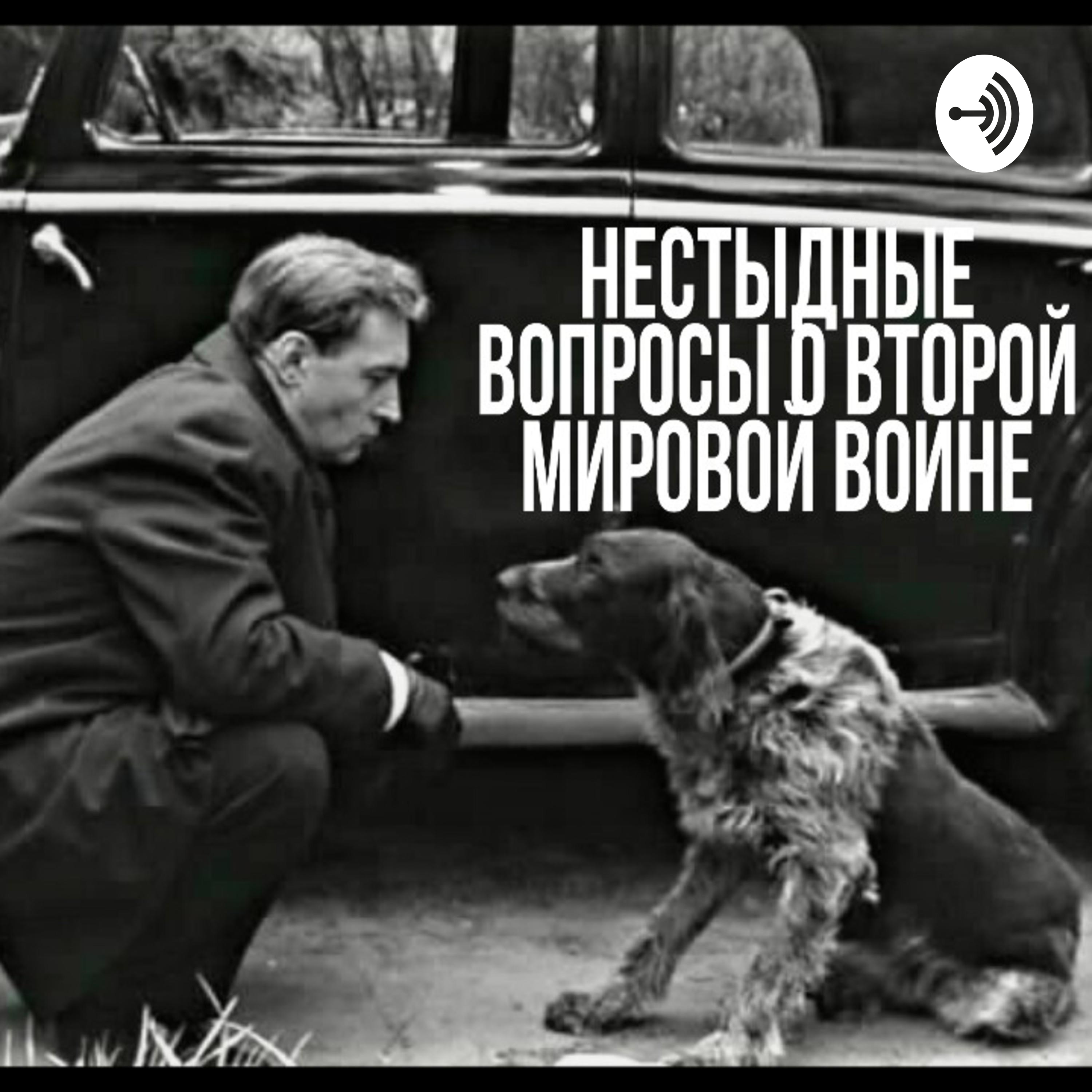Нестыдные вопросы о Второй Мировой войне cover art