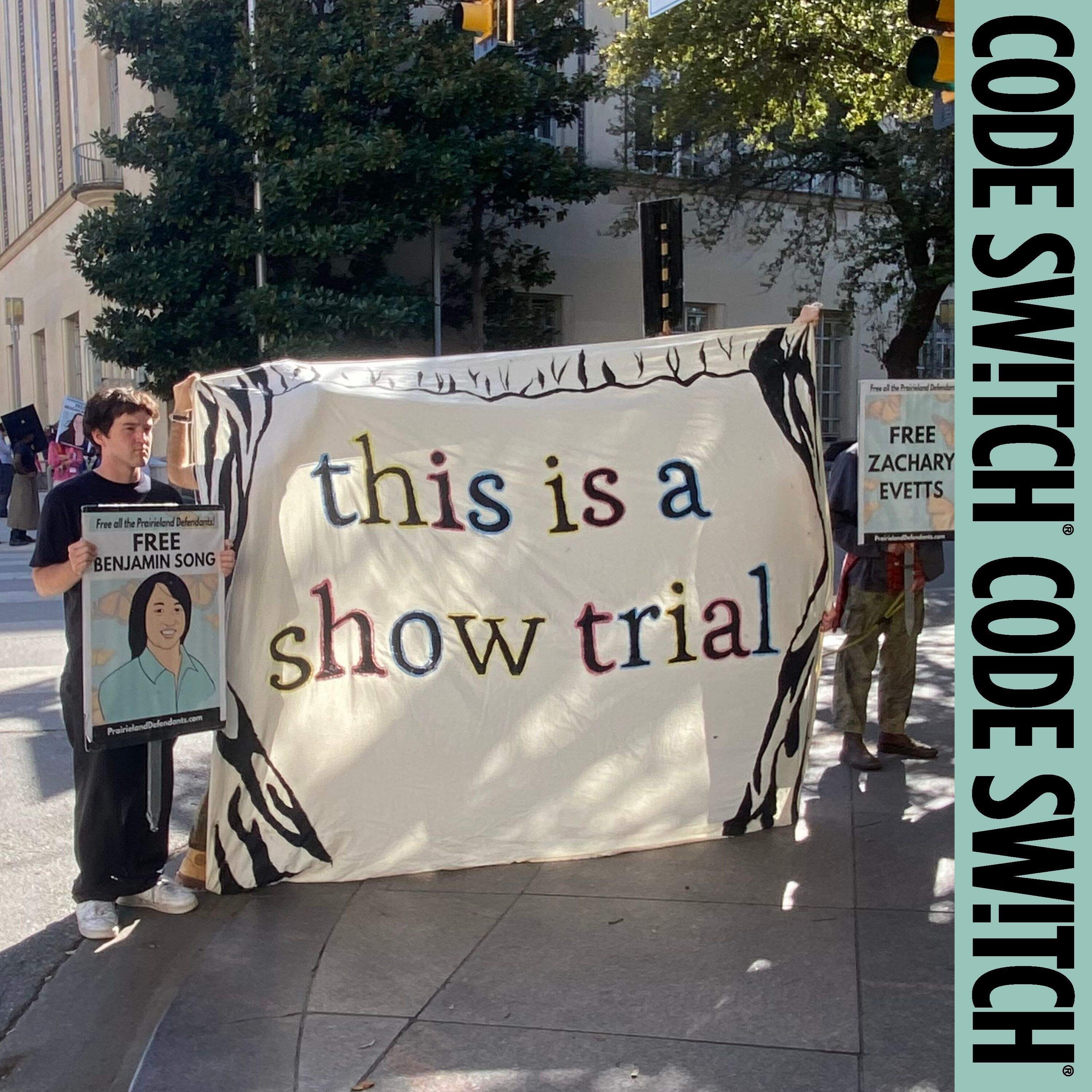 Trump's new legal weapon for prosecuting protestors cover art
