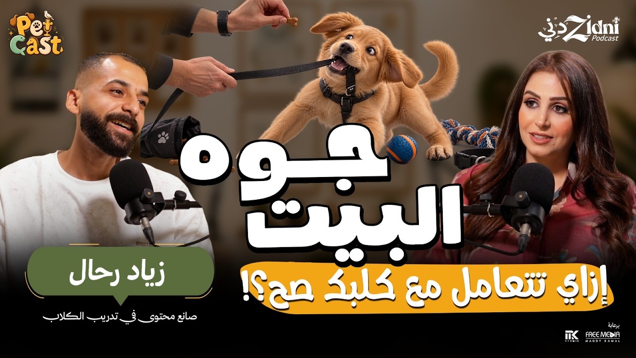 جوة البيت... إزاي تتعامل مع كلبك صح؟! | بيت كاست cover art