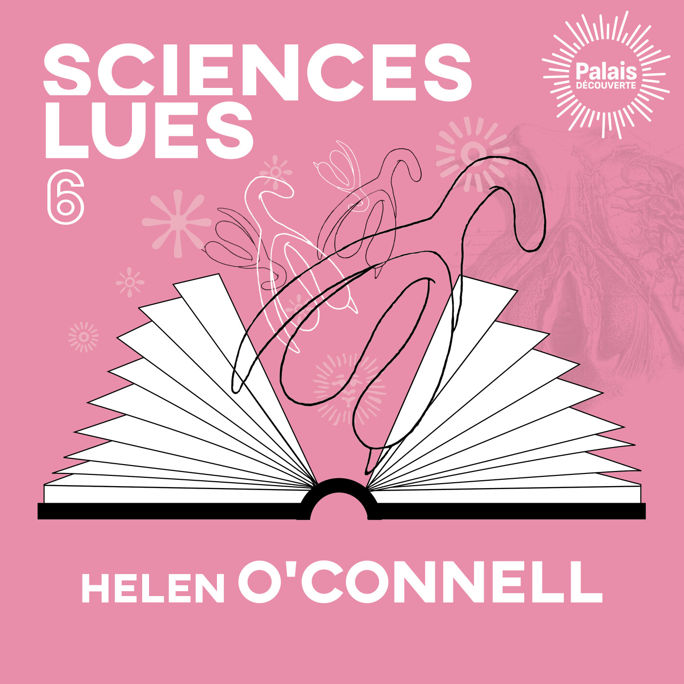 Sciences lues - Helen O'Connell - Publications scientifiques sur le clitoris (S2E6) cover art