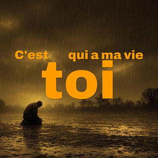 C'est toi qui a ma vie cover art