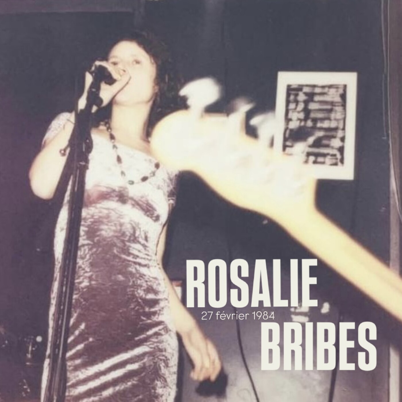 ROSALIE BRIBES - Du Zenith au Nadir cover art