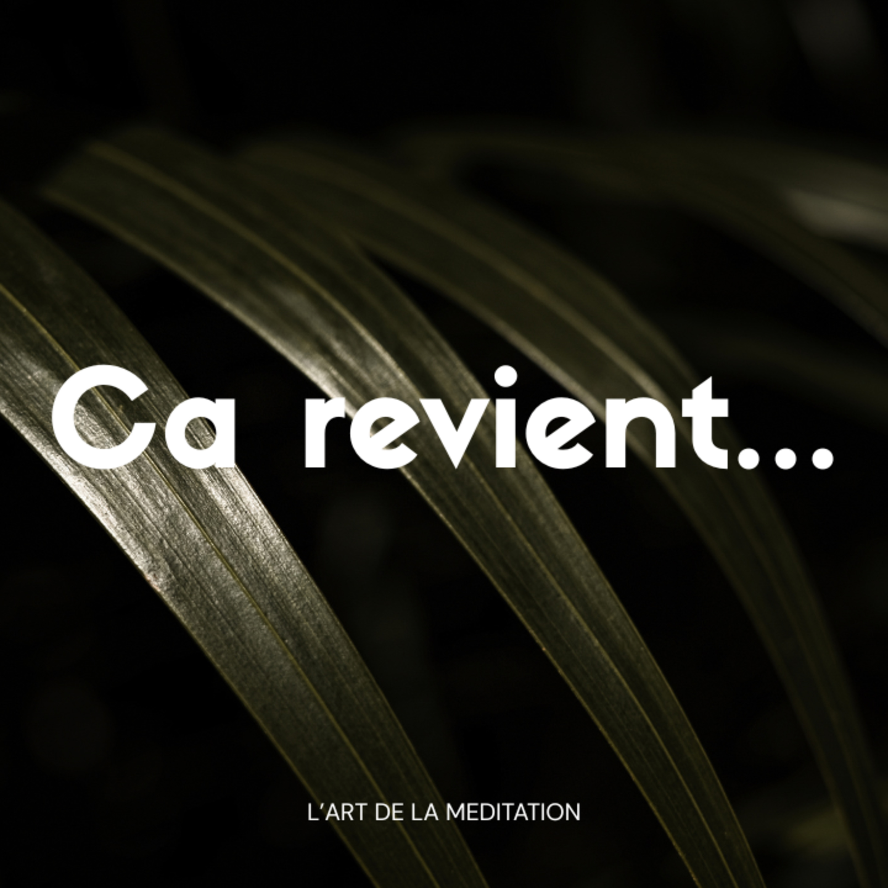Quand les pensées reviennent cover art
