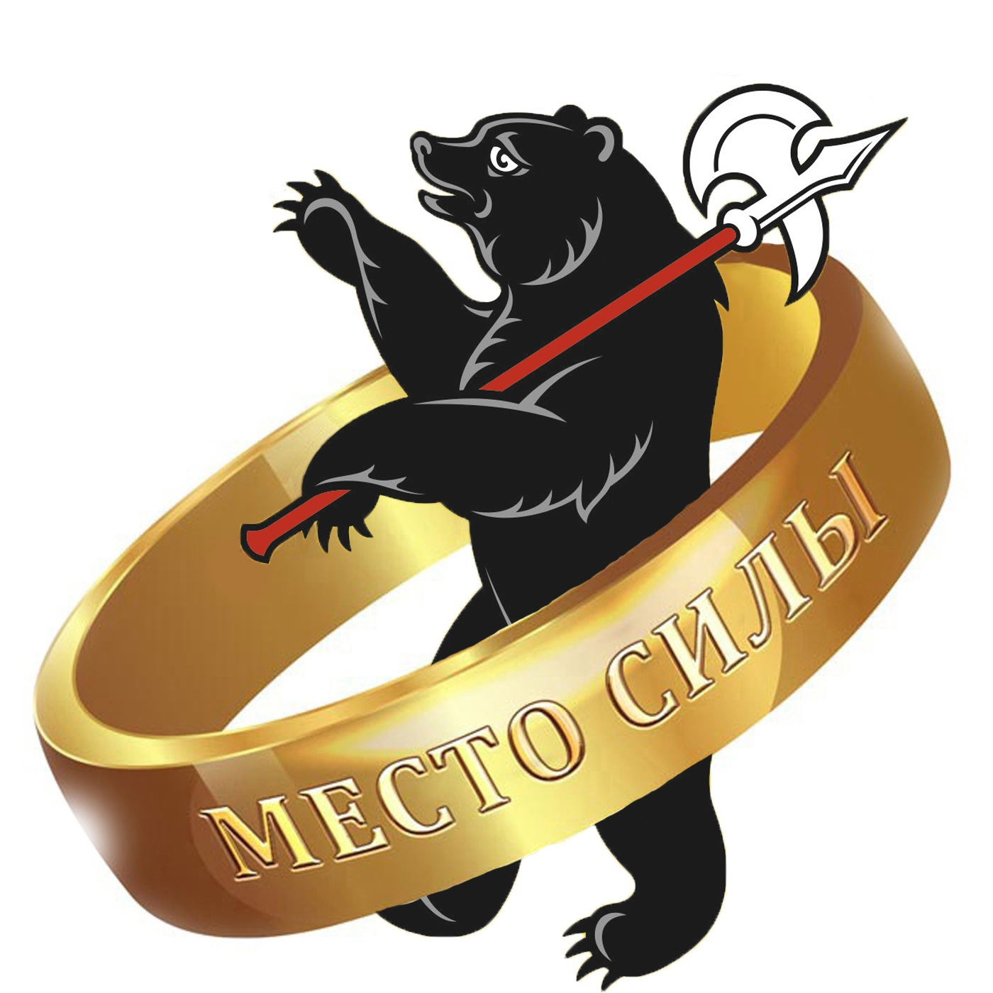 Место силы. Золотое кольцо cover art