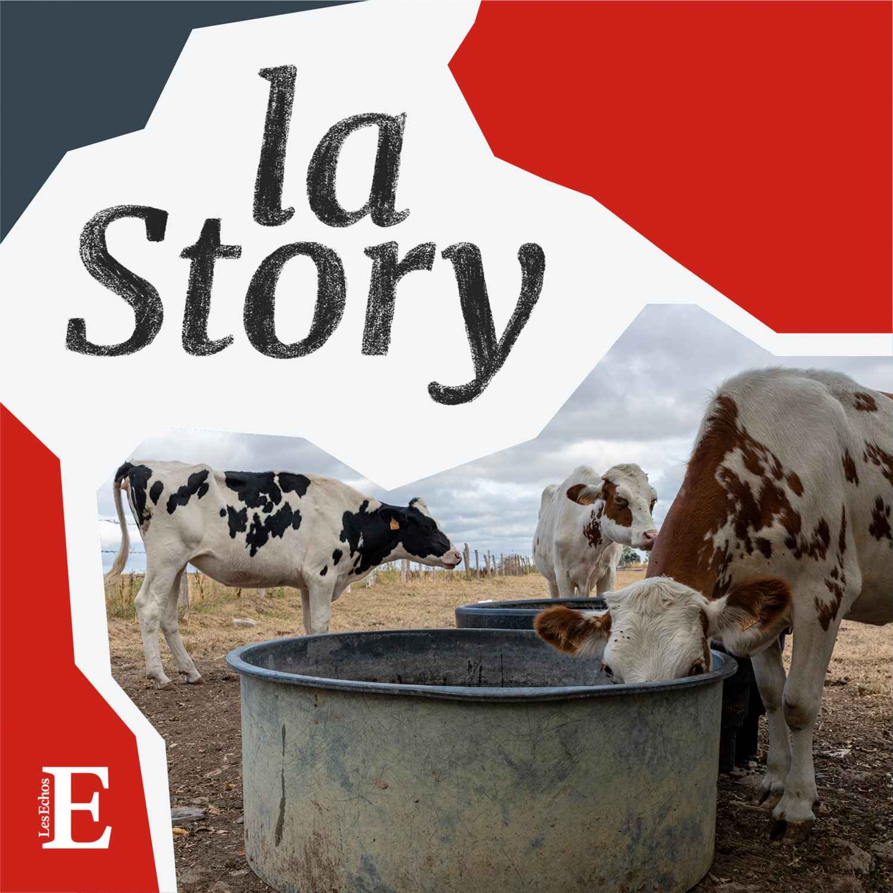 Les agriculteurs face à la sécheresse (1/2) : mesurer les dégâts cover art