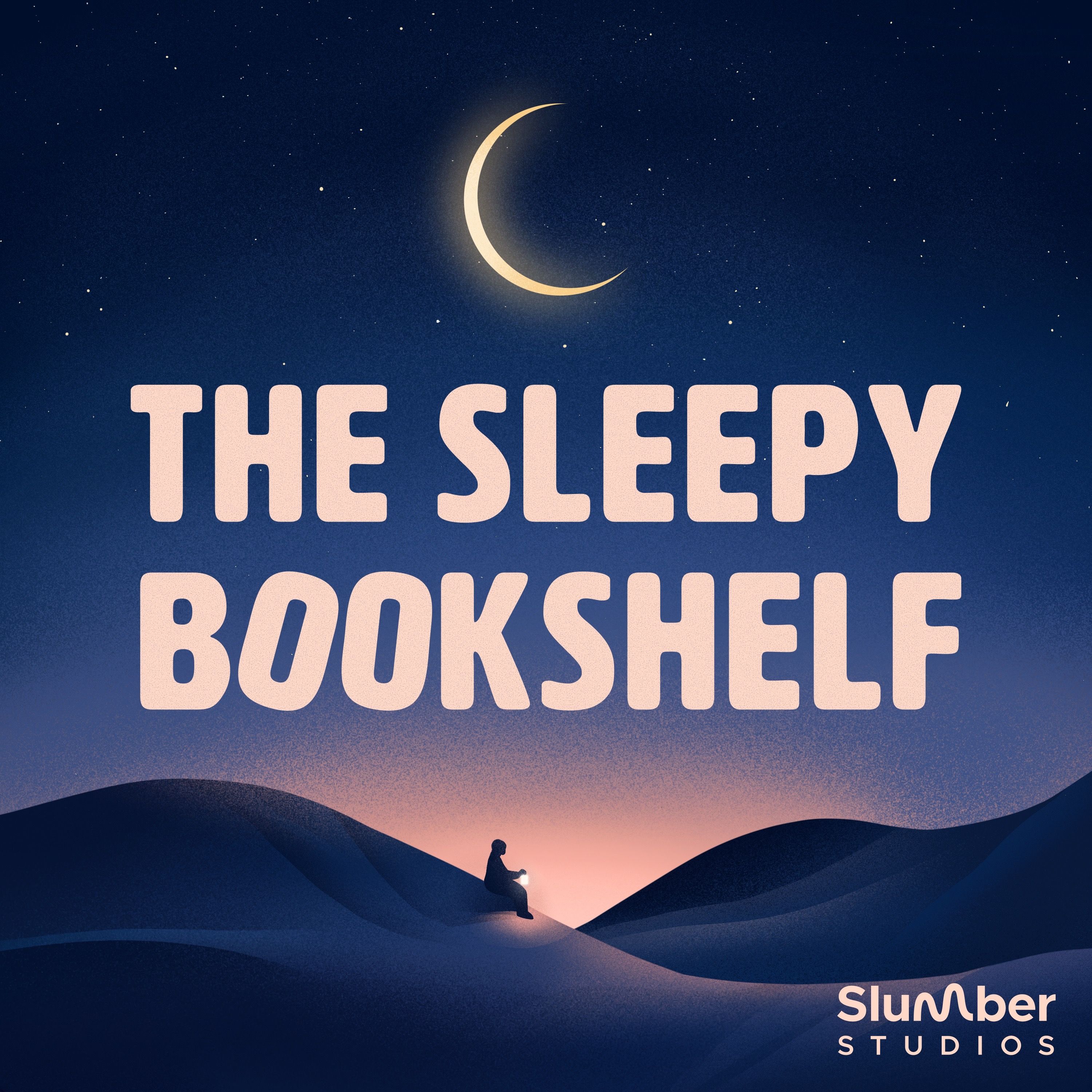 The Sleepy Bookshelf cover art