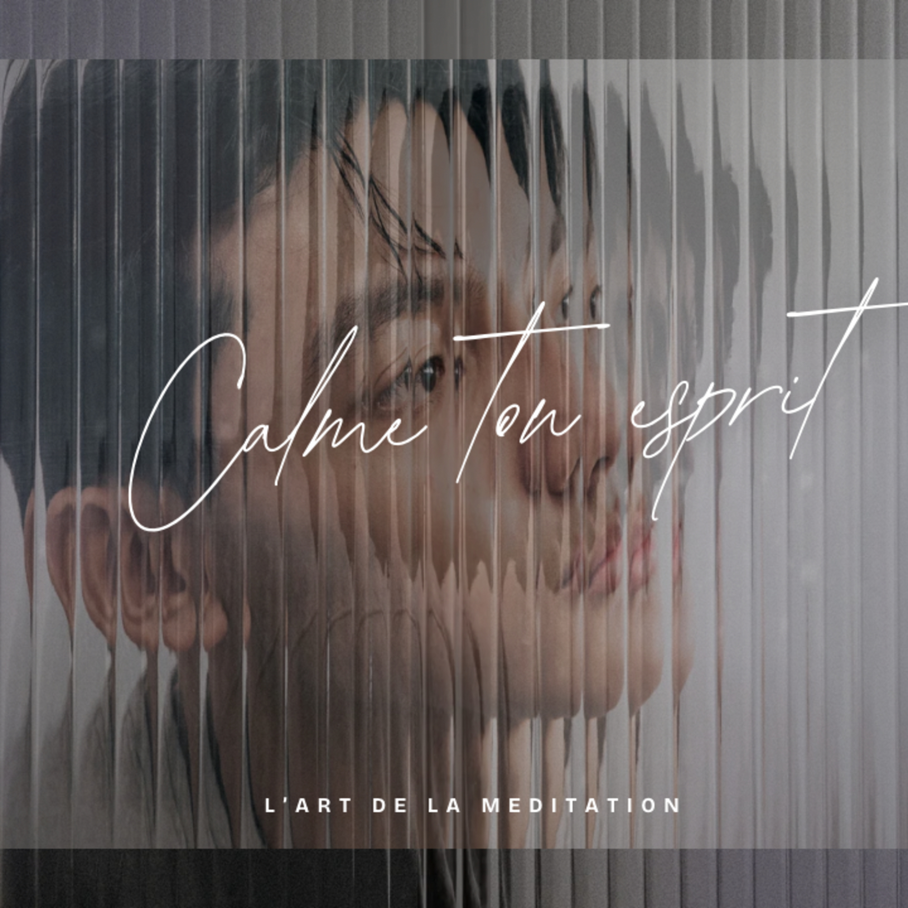Apaiser un esprit en suractivité cover art