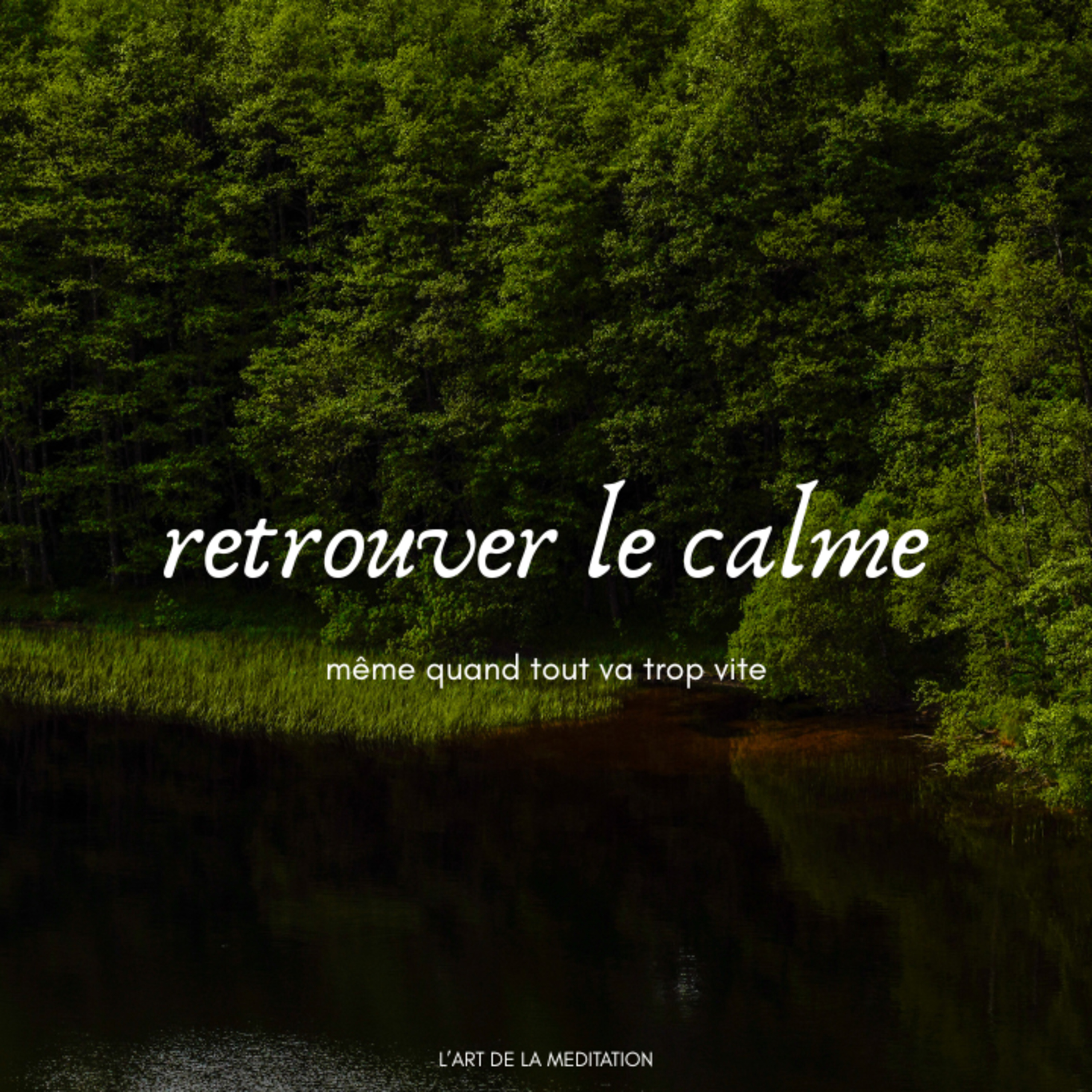 Le calme dans la vie quotidienne cover art