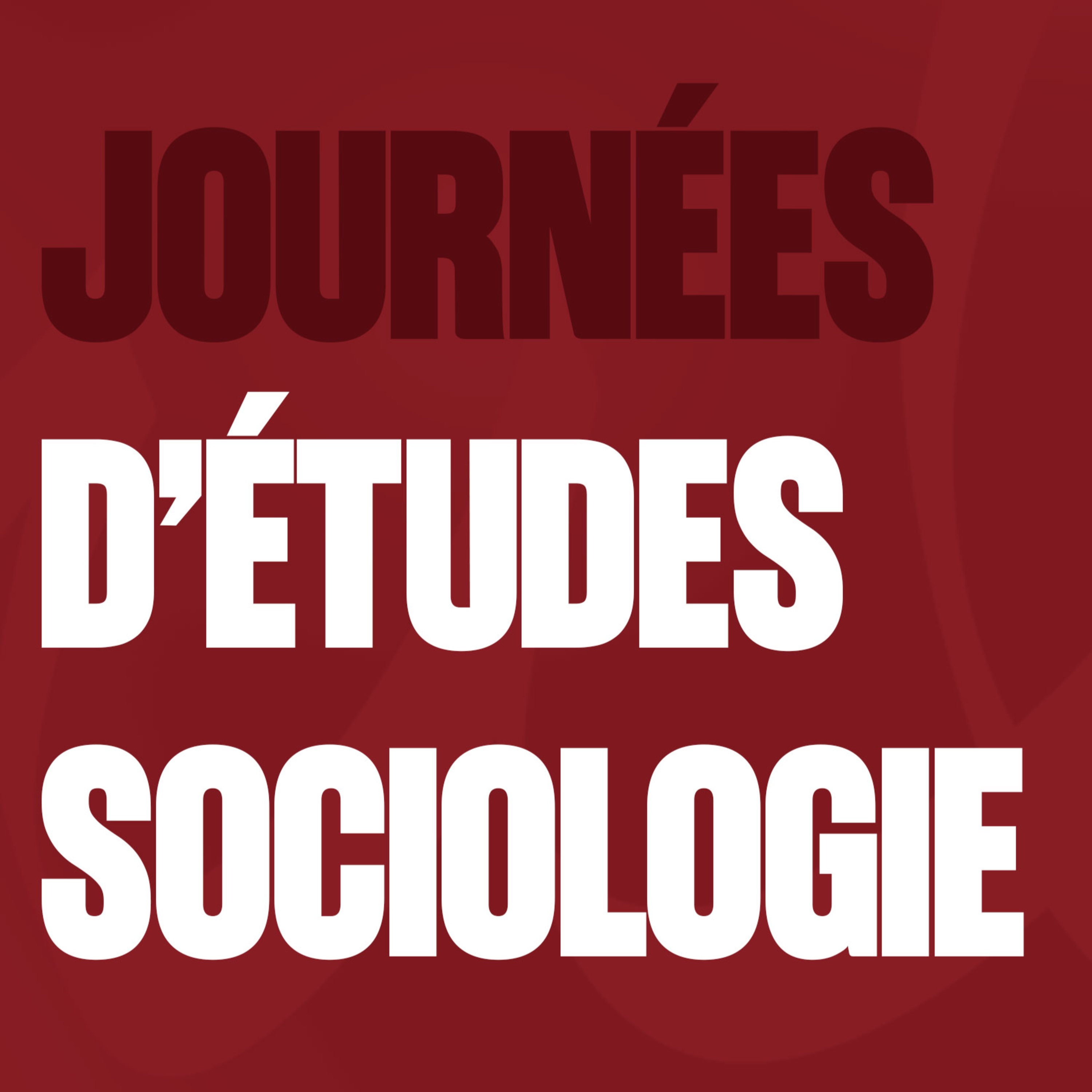 Lauryne Cary-Dhenin - Faire une sociologie de la désinformation cover art