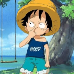 author avatar