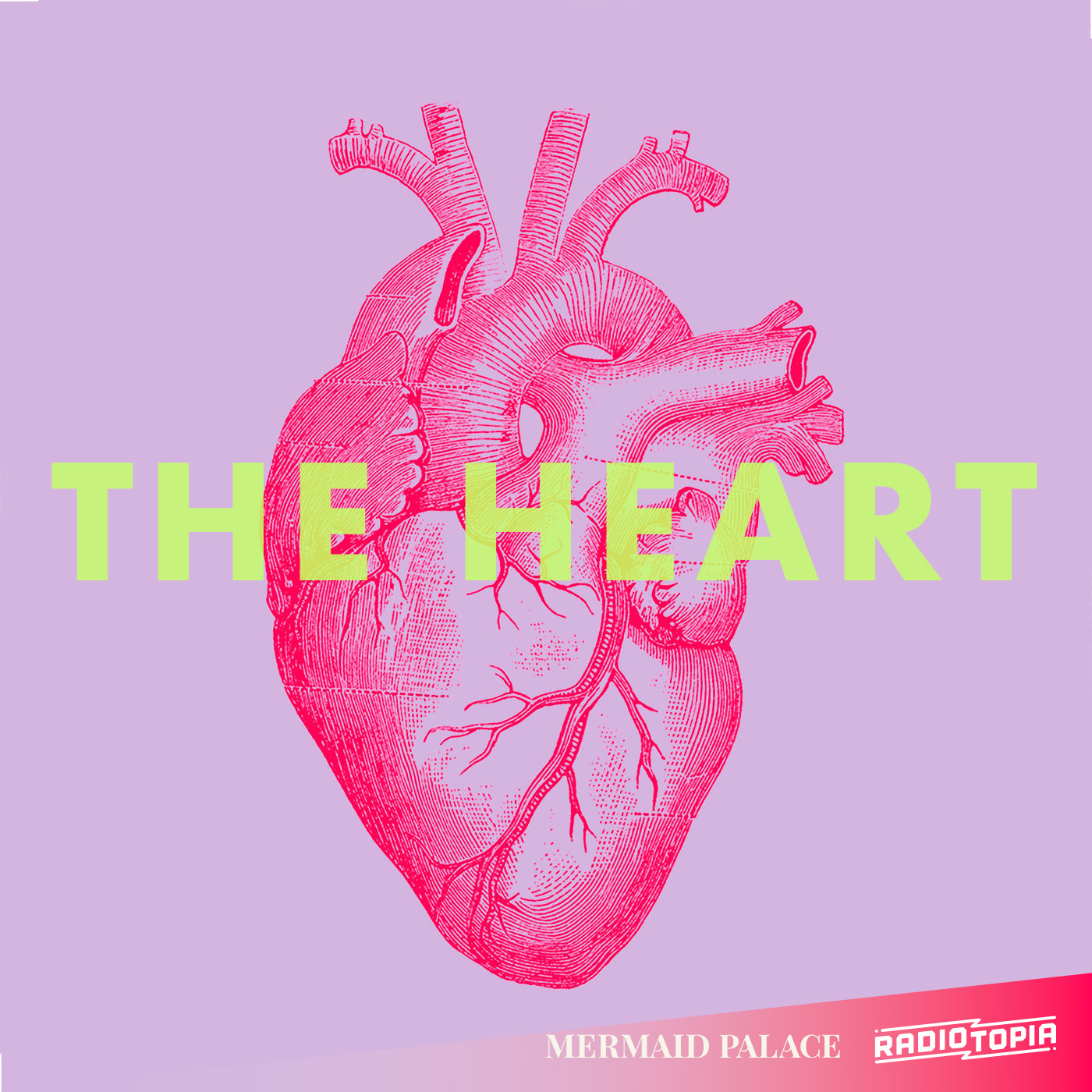 If the Sea Could Talk