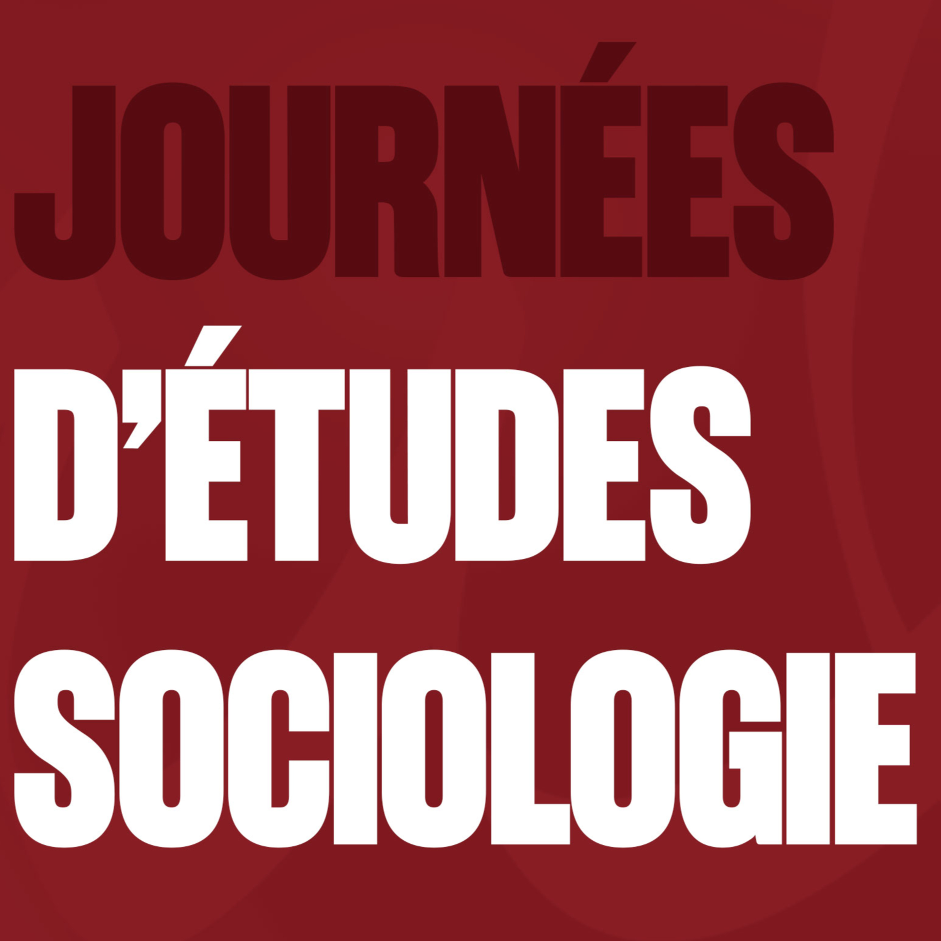Anaëlle Goujon - Les genres en bordel : l'exemple des jeux de rôle en ligne cover art