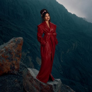 Non merci cover art