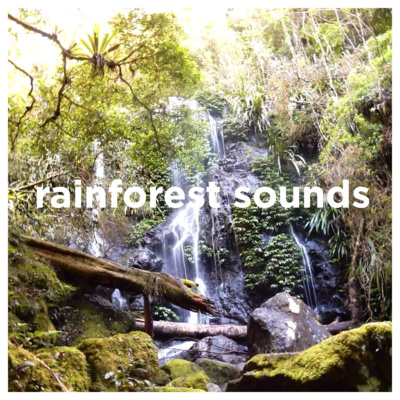 Rainforest Sounds With Black Screen to Sleep, Study or Relax (2 Hours, Loopable)
