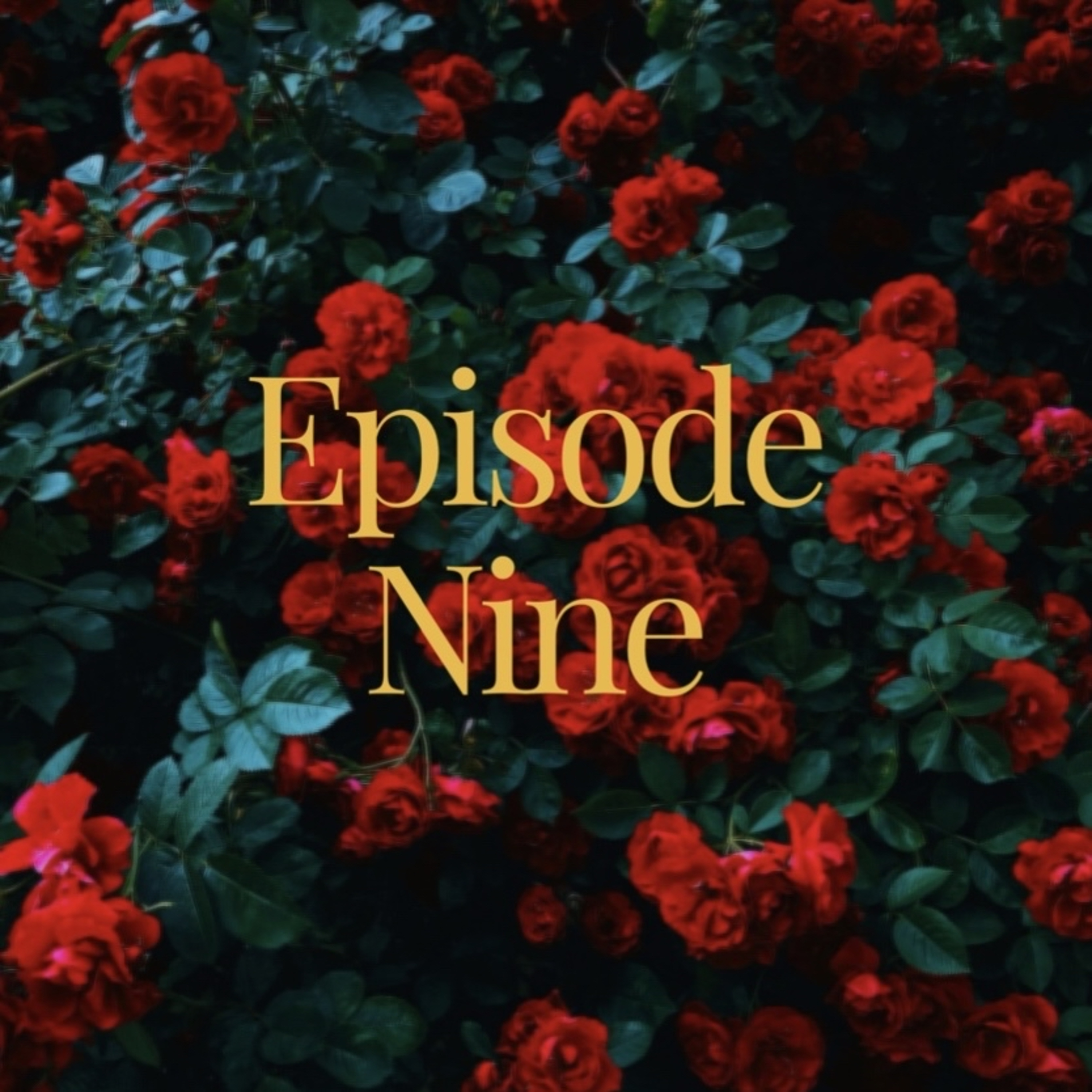The Image cover art