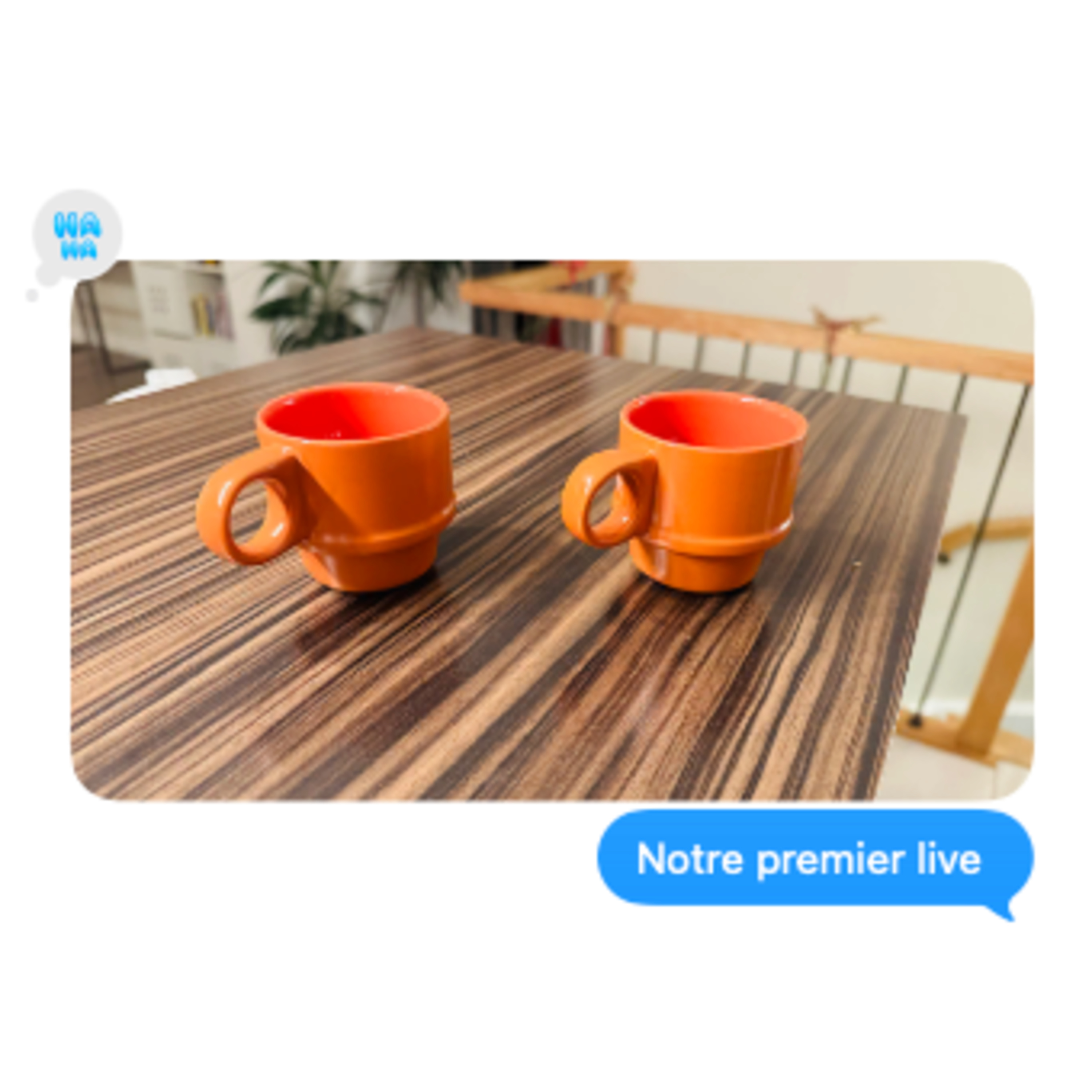 Le grand live de fin d'année : vos questions et nos réponses. cover art