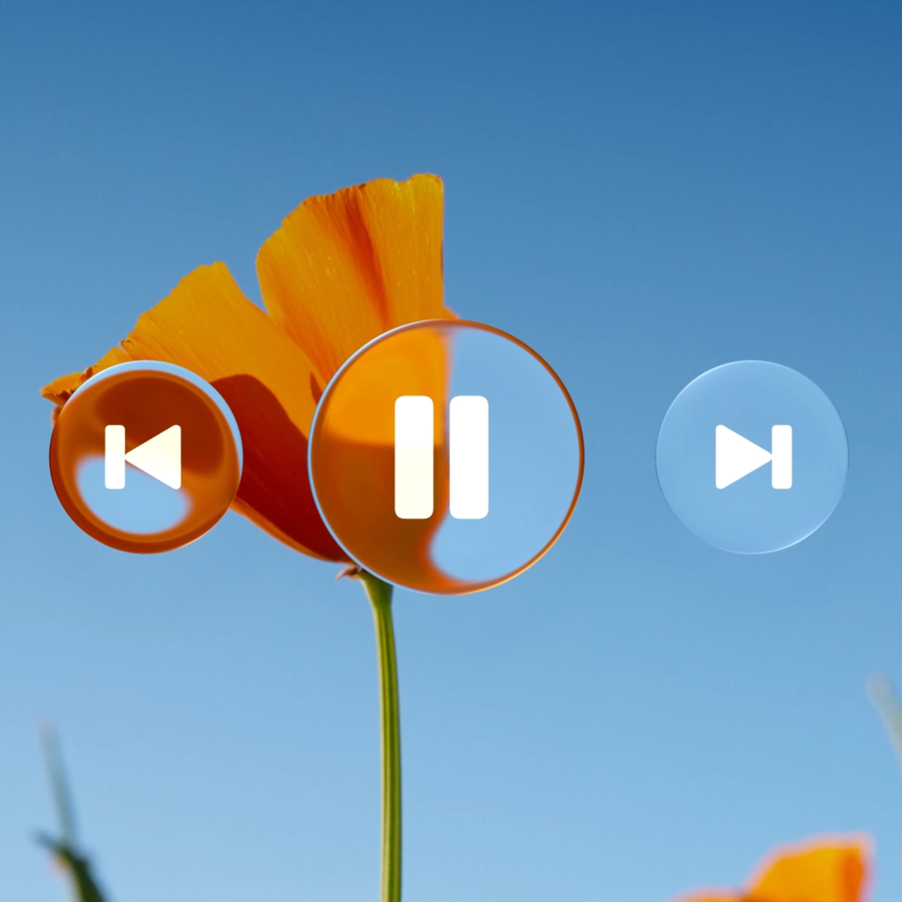 WWDC 25 : iOS 26, iPadOS 26, macOS 26 (Tahoe), watchOS 26 et Liquid Glass cover art