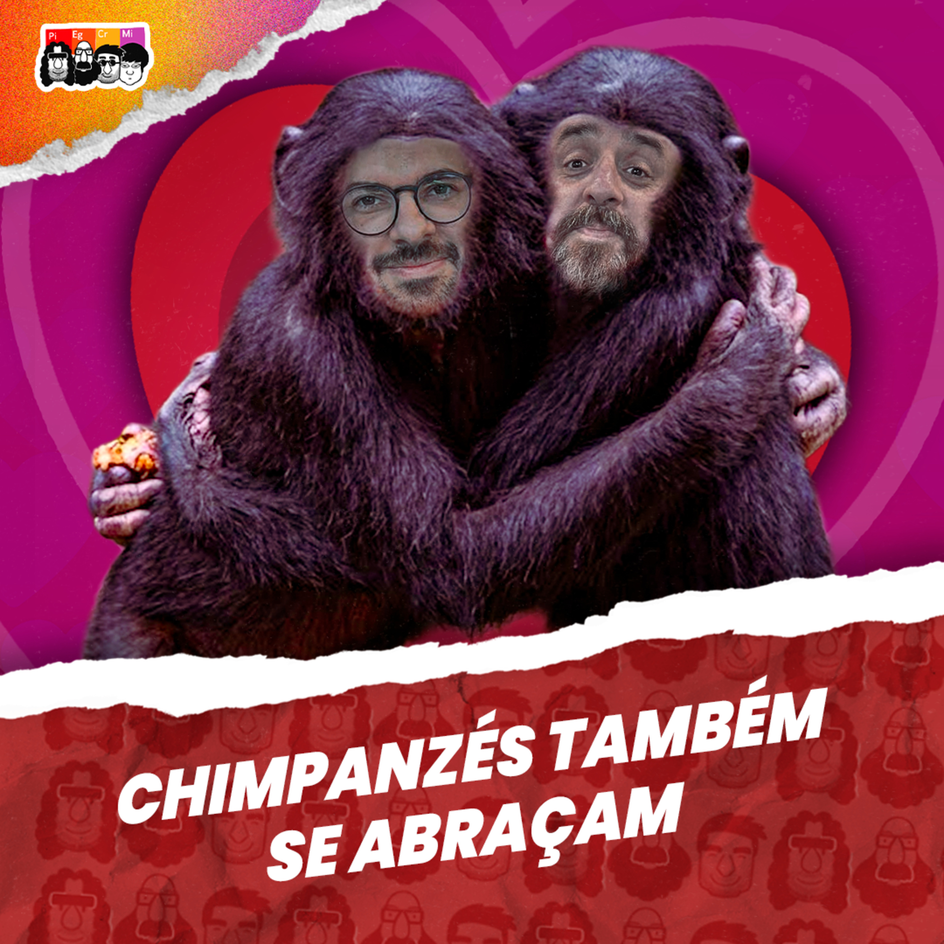 O que os CHIMPANZÉS podem nos ensinar sobre o ABRAÇO? cover art