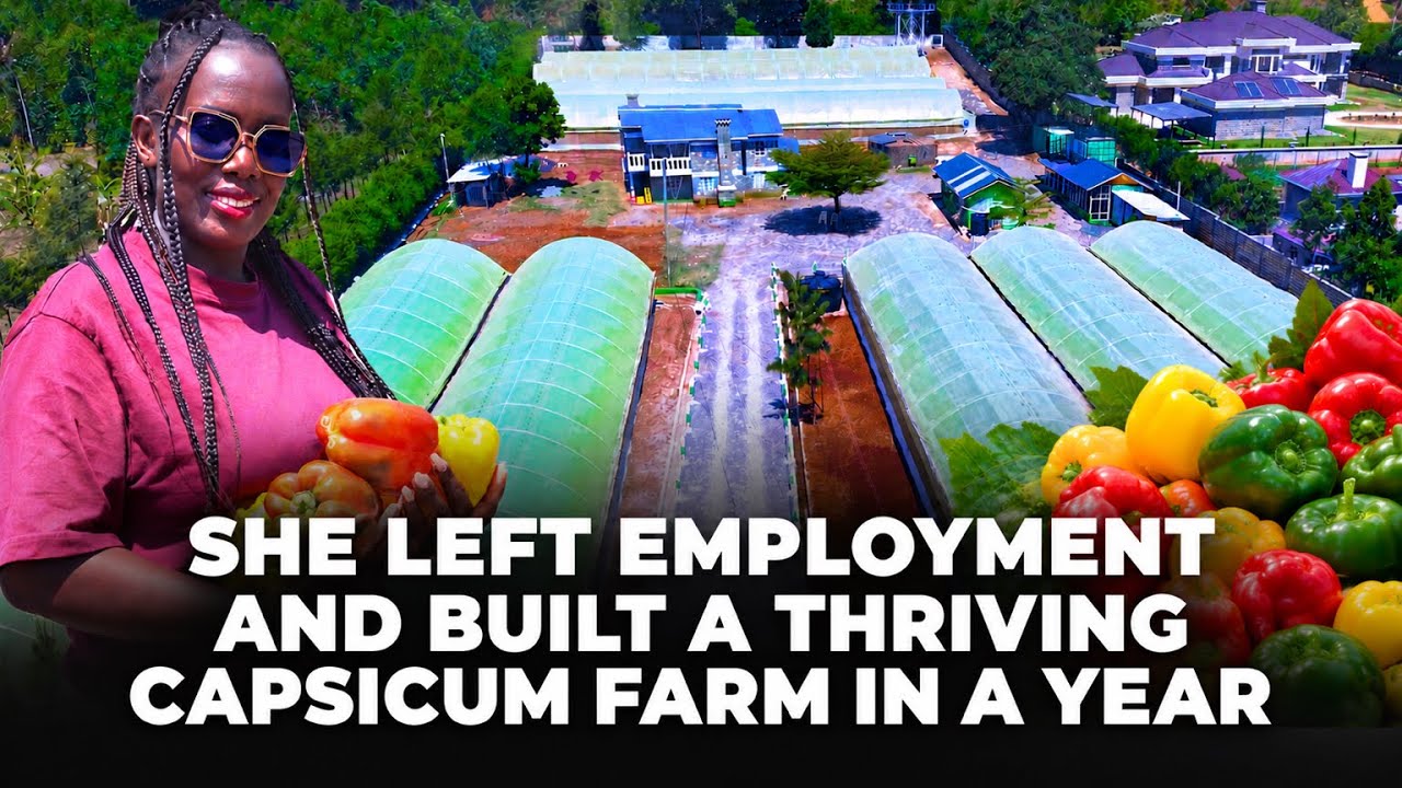 She Left Employment & Built a Thriving Capsicum (Hoho)Farm .Her Losses,Profits & Lessons |Lynn Ngugi cover art