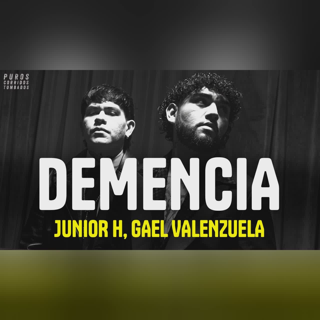Junior H, Gael Valenzuela - DEMENCIA (Letra) cover art