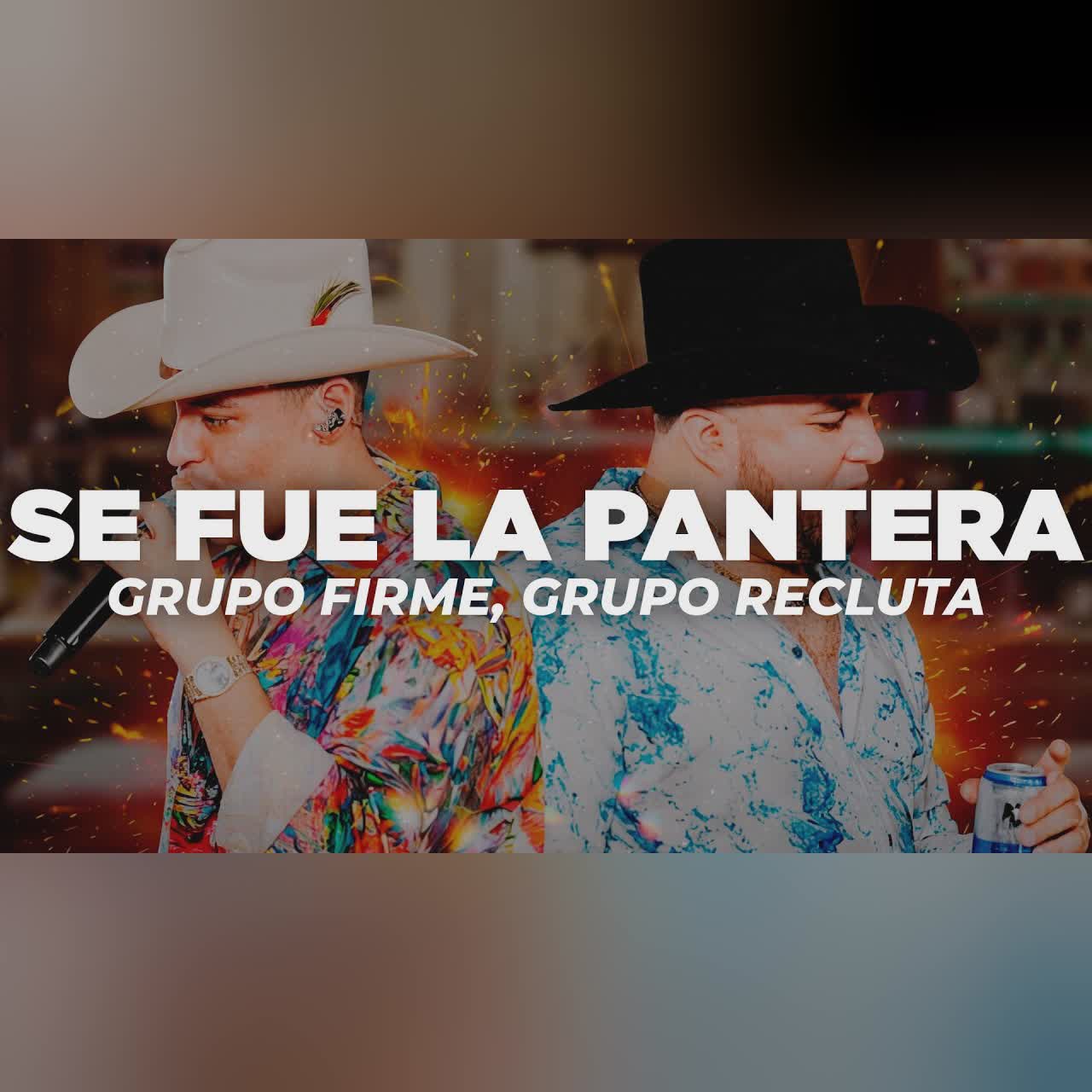Se Fue La Pantera (En Vivo) cover art