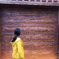 author avatar