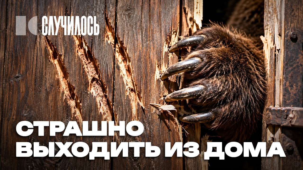 Медвежий ад: комендантский час и патрули с автоматами. Как выживает Сибирь? | Случилось cover art