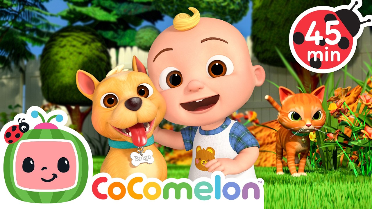 JJ's Pet Song! | CoComelon | Sing Along | Learn about Animals cover art