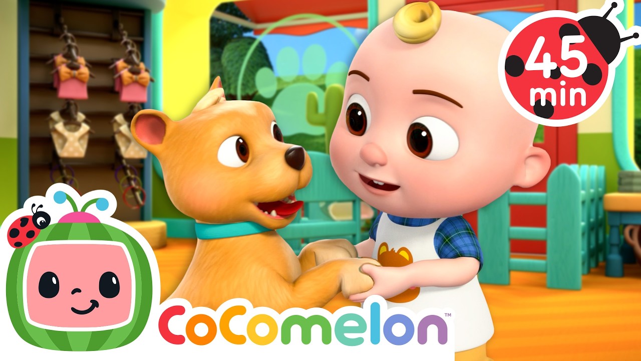 Shopping at the Pet Store with JJ | CoComelon | Sing Along | Learn about Animals cover art