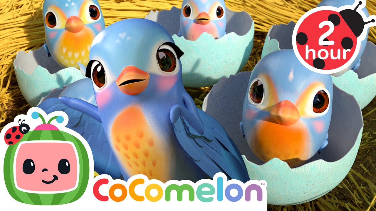 Five Little Birds 🐣🐦 | CoComelon | Sing Along | Learn about Animals cover art