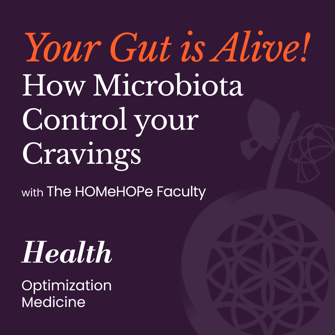 What Nobody Told You About Your Gut | HOMe Podcast #012 cover art