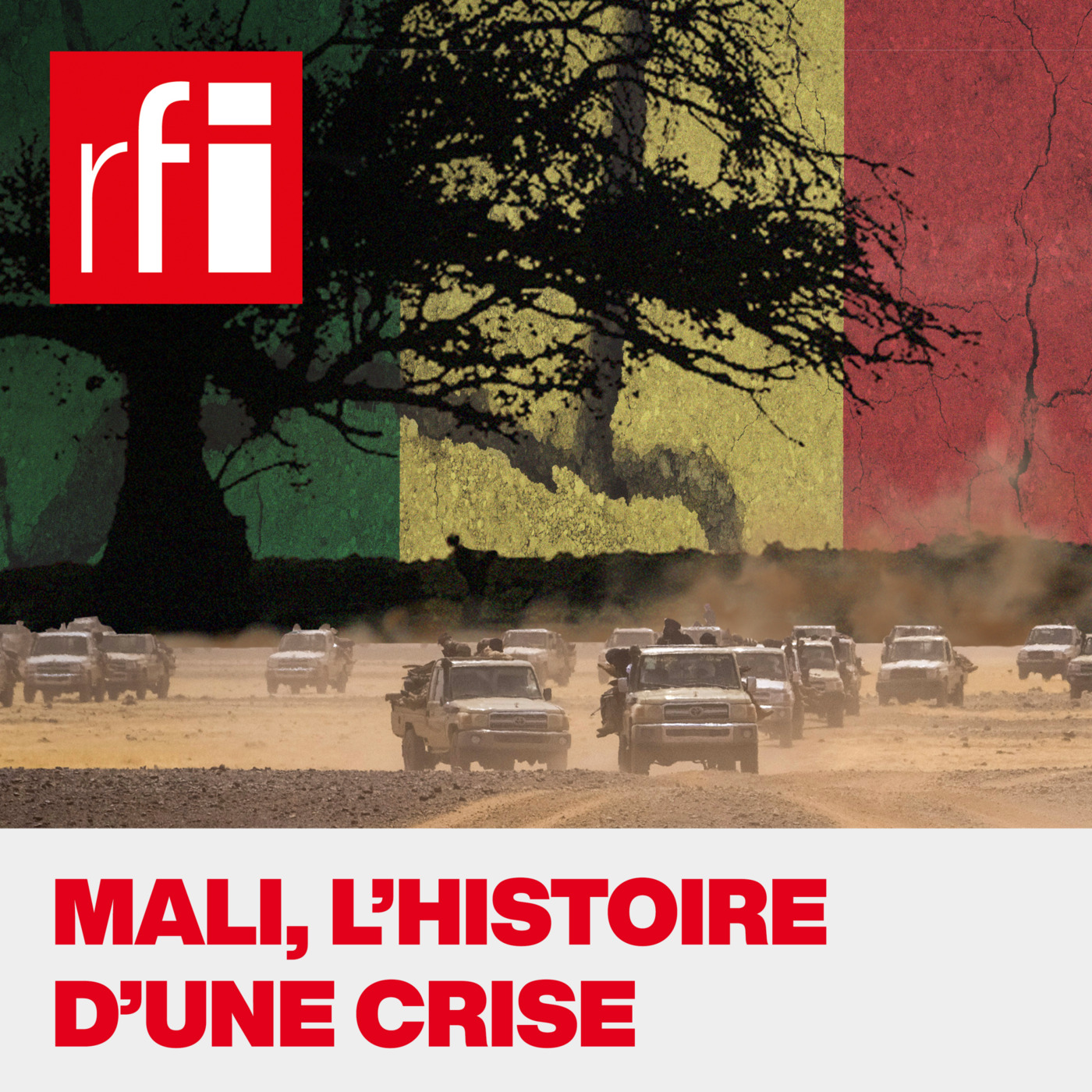 Mali, l'histoire d'une crise cover art