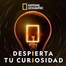 DESPIERTA TU CURIOSIDAD cover art