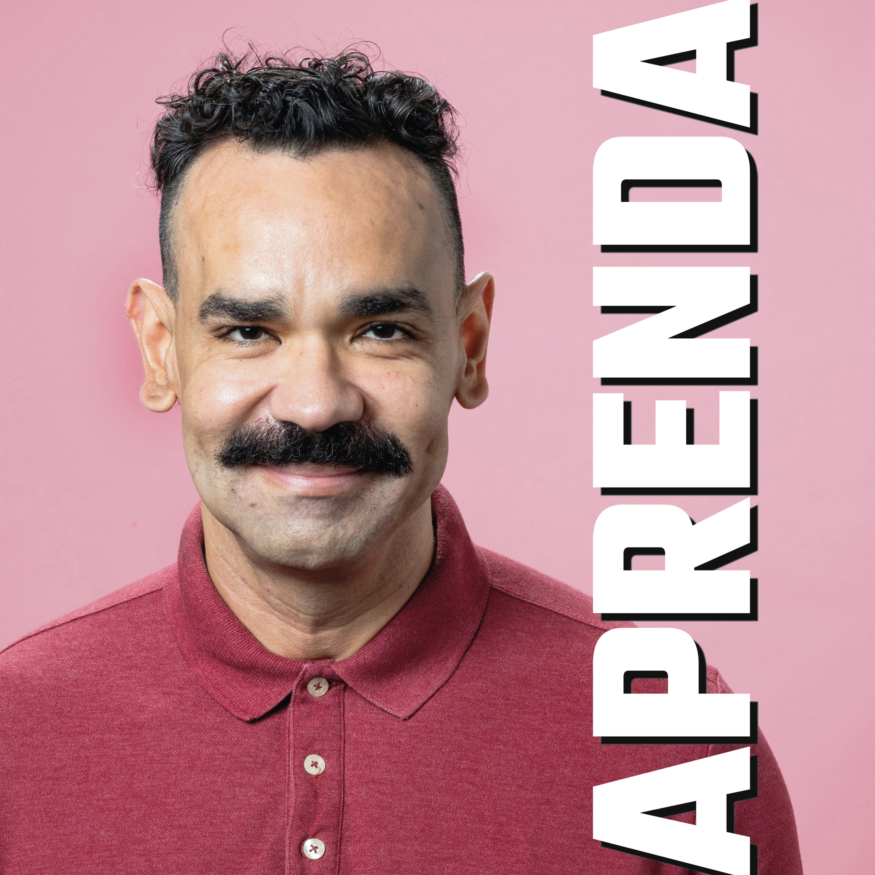 Aprenda cover art