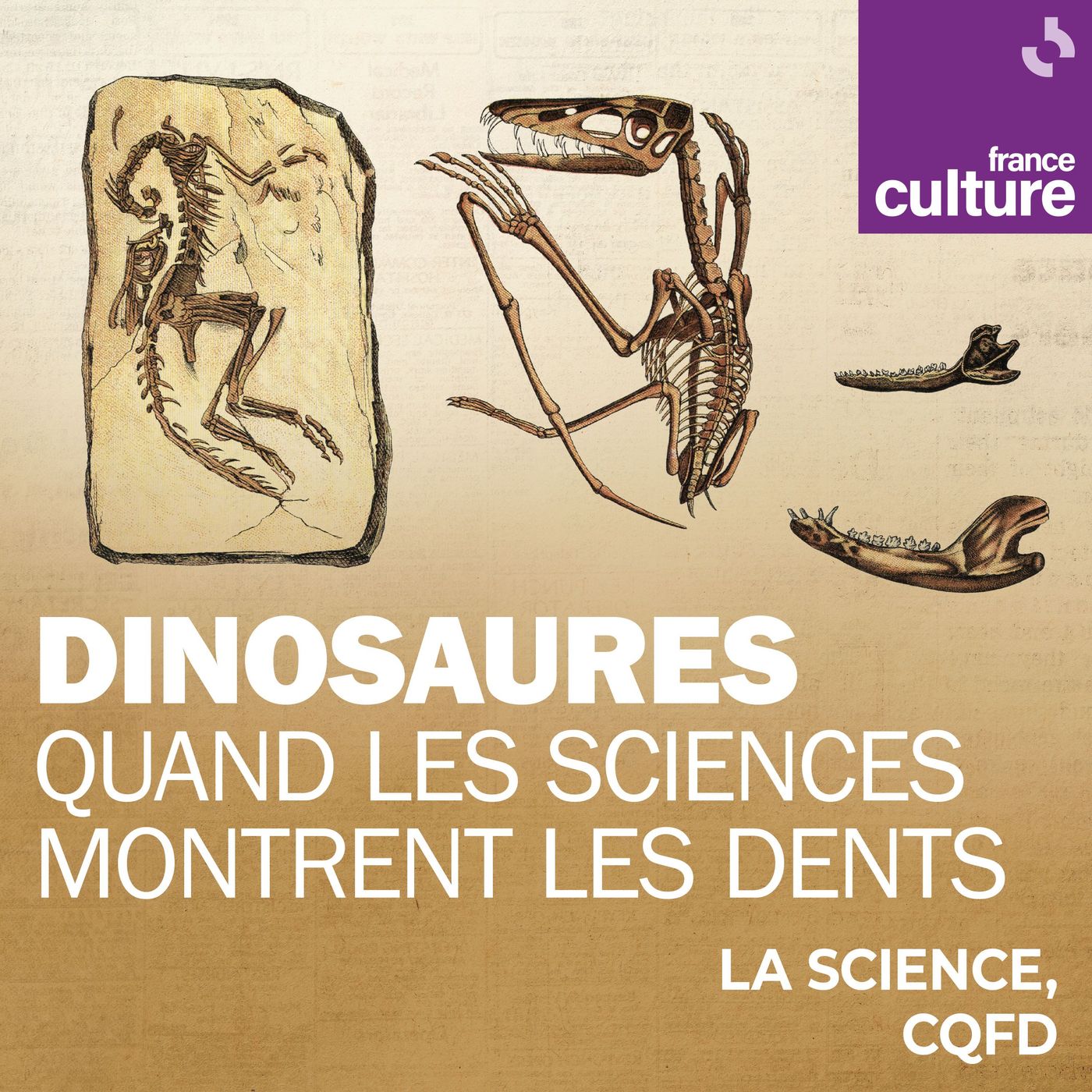 Dinosaures : les sciences montrent les dents : Un dino en tête-à-tête avec Ronan Allain cover art