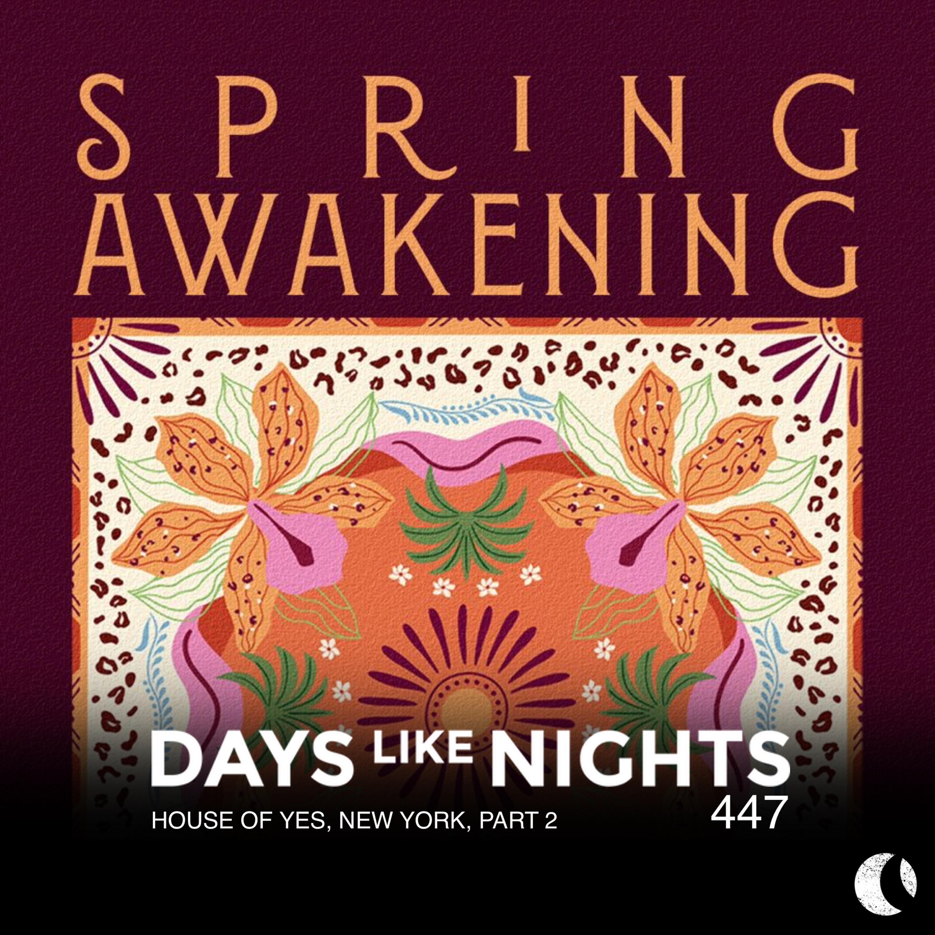 DAYS like NIGHTS 447 - House of Yes, New York, Part 2 cover art