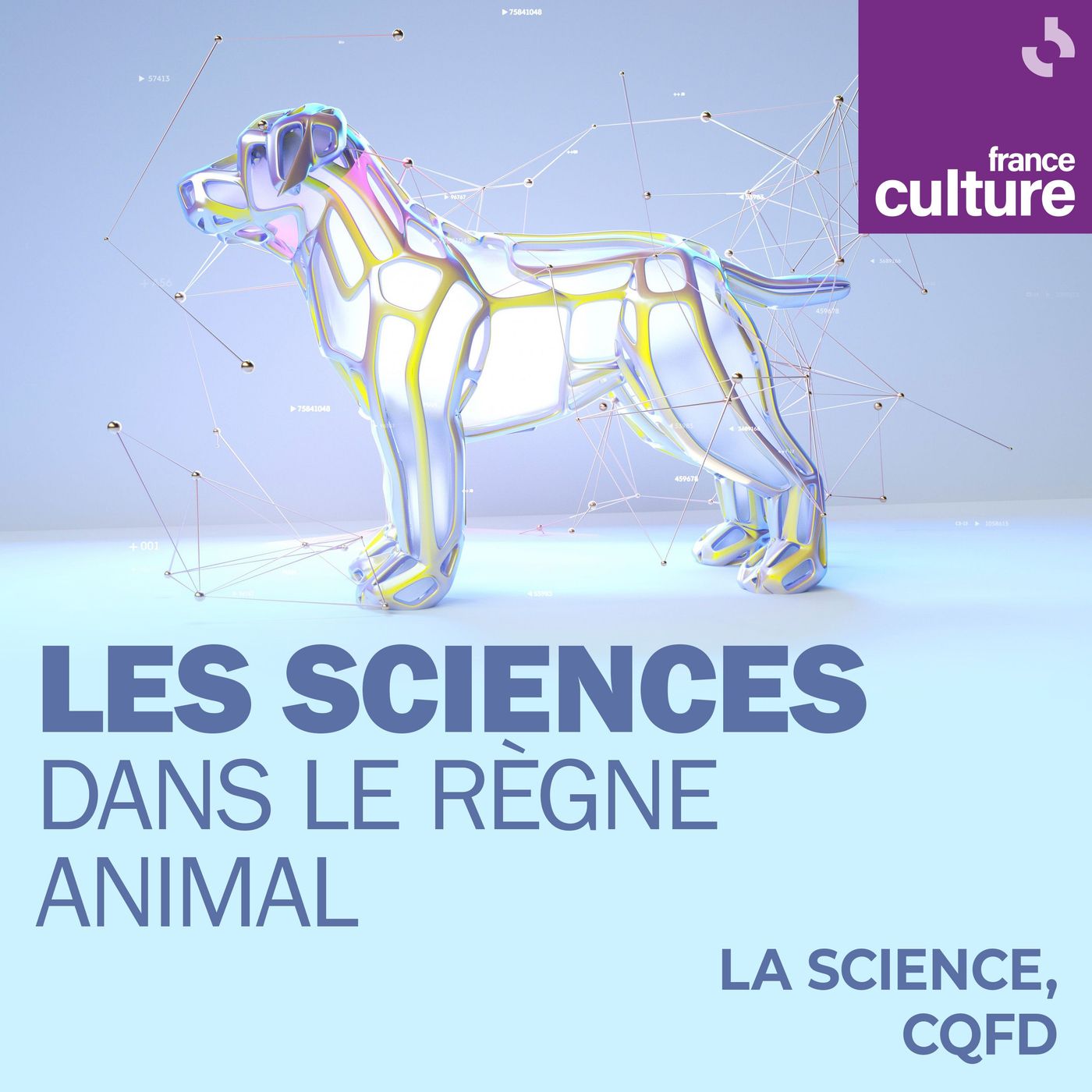 Les sciences dans le règne animal : Araignées : nées sous une bonne toile cover art