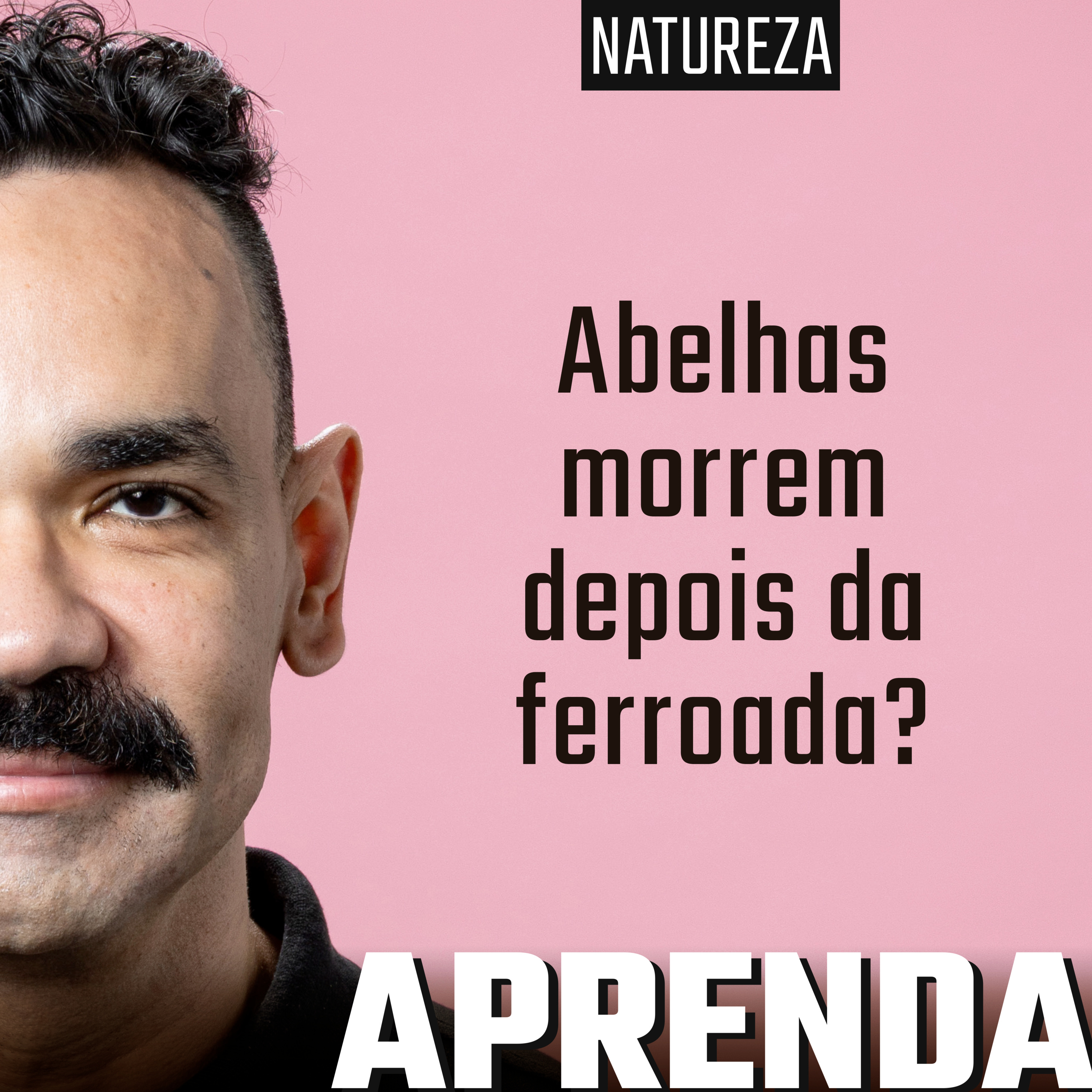 Abelhas morrem mesmo depois da ferroada? #193 cover art