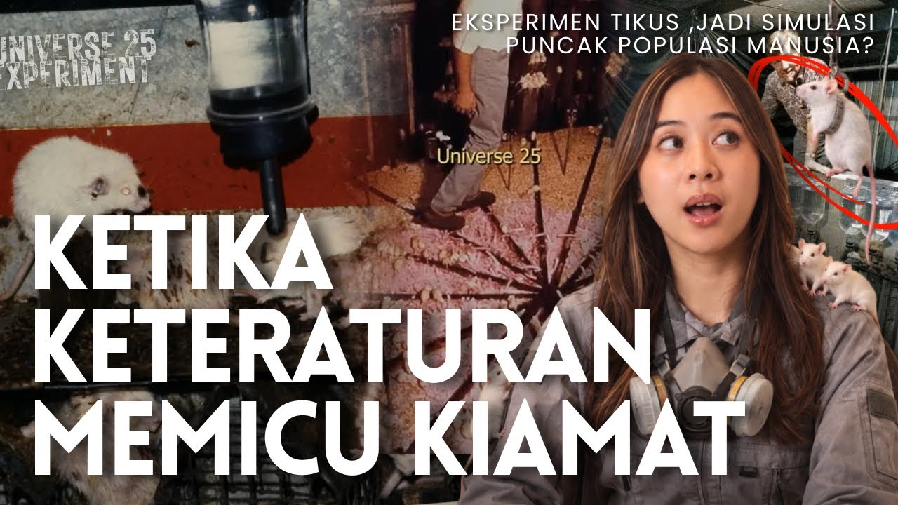 Memprediksi kepunahan manusia lewat eksperimen: UNIVERSE 25 cover art