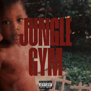 Jungle Gym cover art