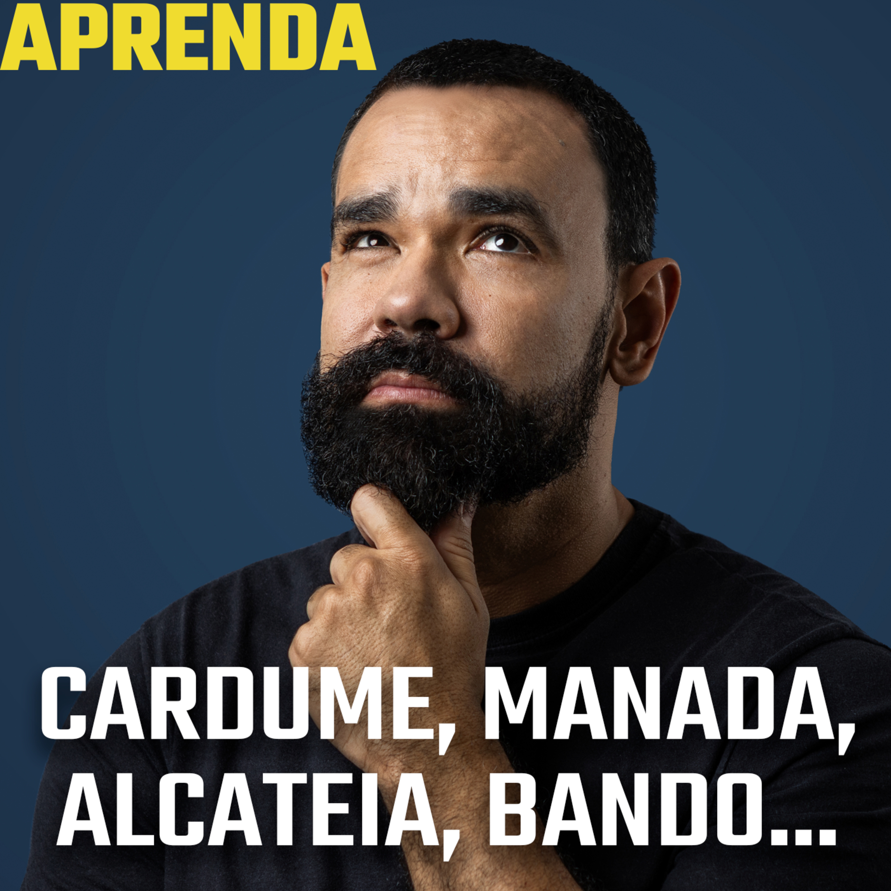 O que são substantivos coletivos? #182 cover art