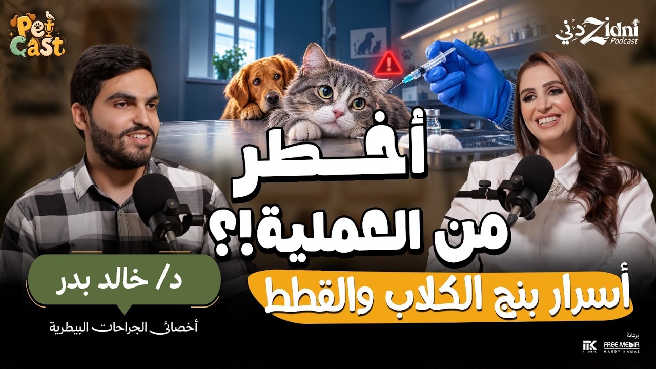 من البنج لحد التعافي.. أسرار جراحات القطط والكلاب! | بيت كاست cover art