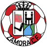 live-team-icon