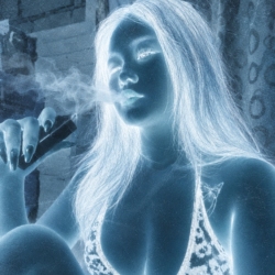 author avatar