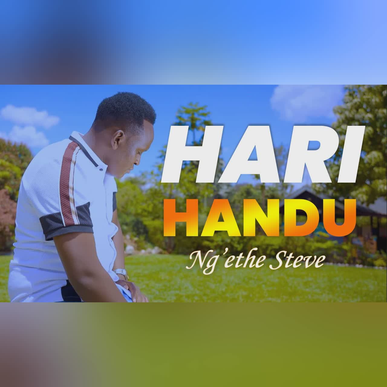 Hari Handu | Ng'ethe Steve (Official 4K Video) cover art
