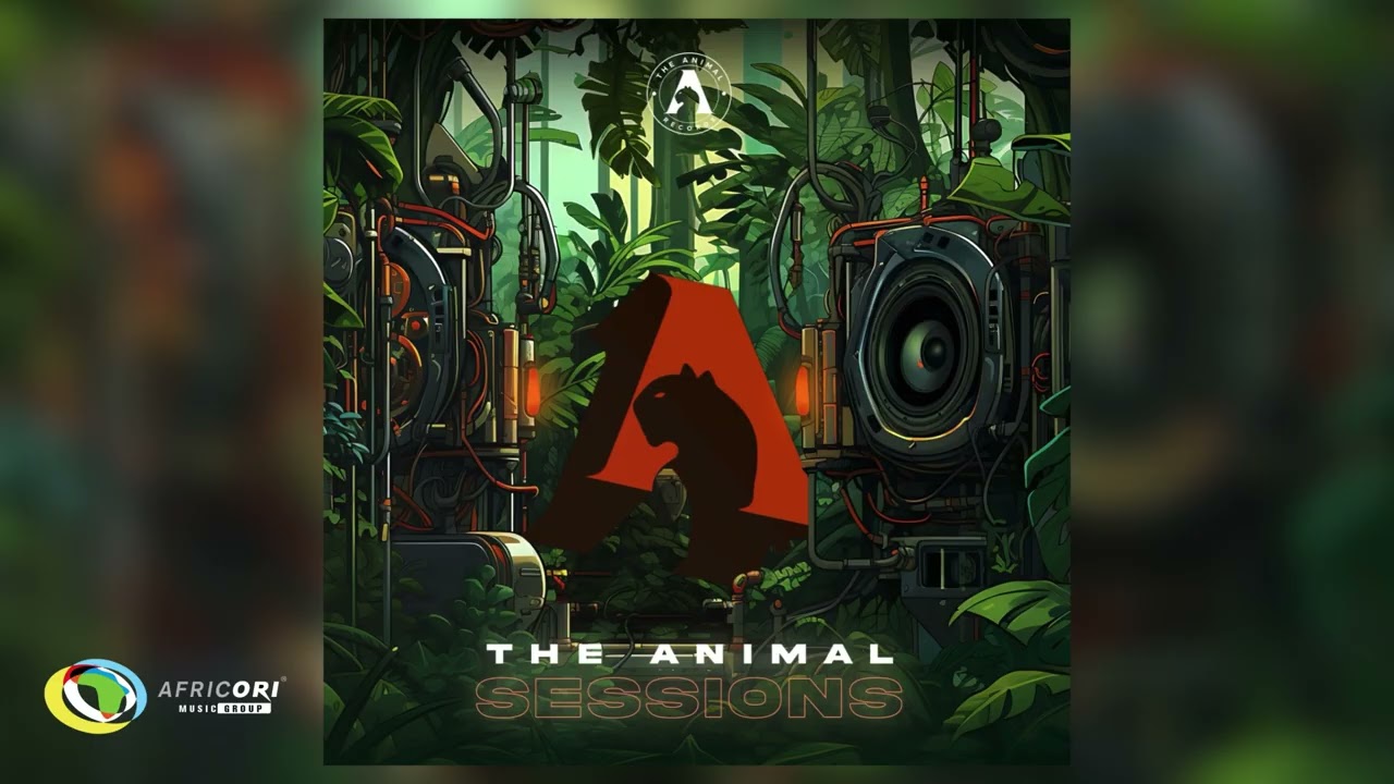 The Animal & China Charmeleon - We Never Learn (Official Audio) cover art