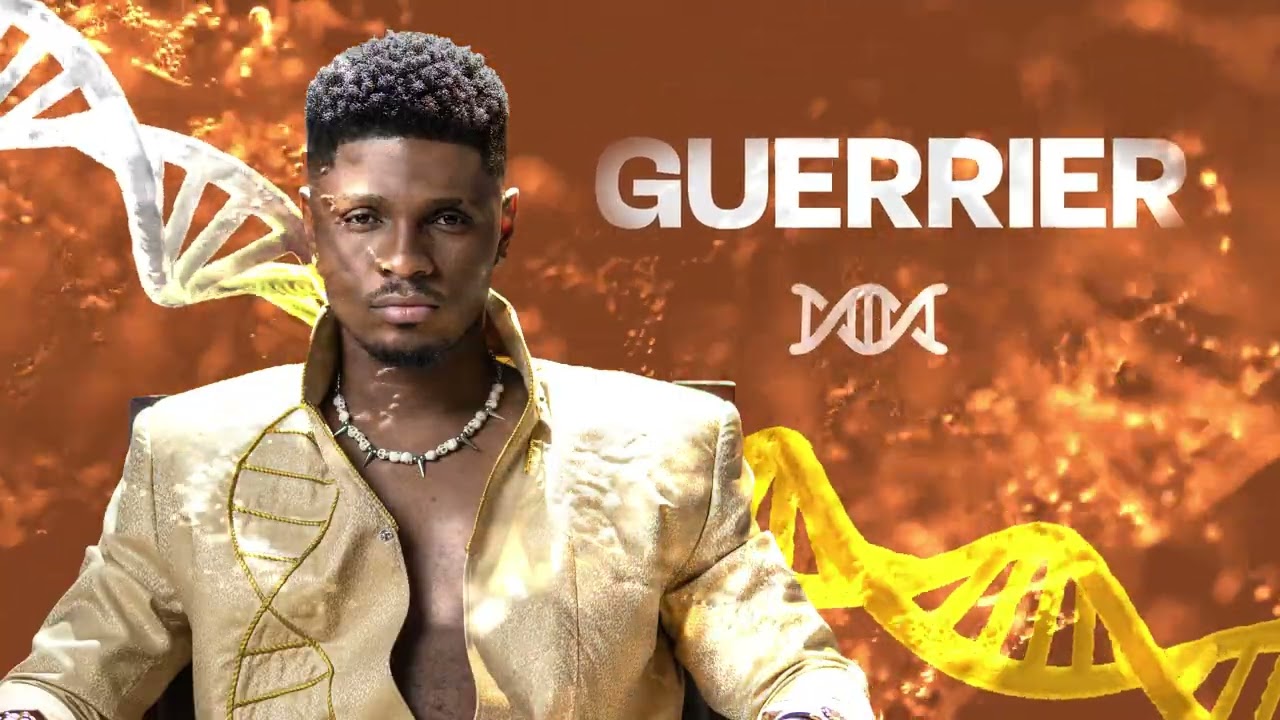 GALLY - GUERRIER (VISUALIZER VIDEO) cover art