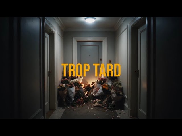 LACRIM - TROP TARD ft. AMEL BENT (VISUALIZER) cover art